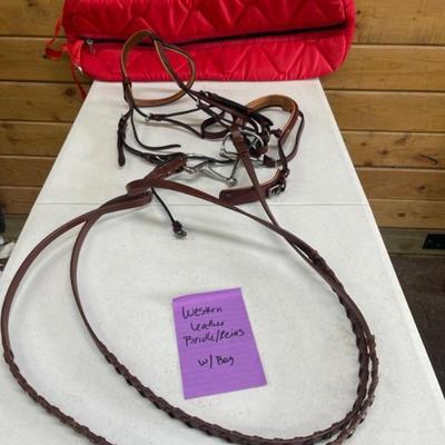 Leather Bridal/Reins With Bag