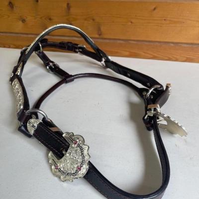 Western Show Halter