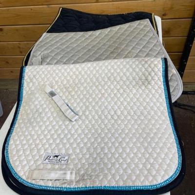 Three Dressage- 21”-23”