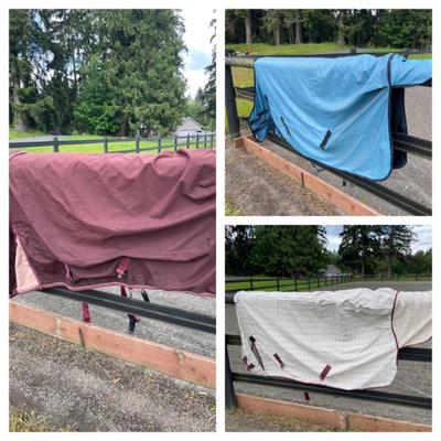 Three Horse Blankets 78”