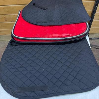 Dressage Three-22" and 21"