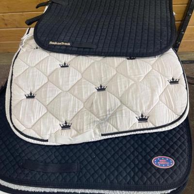 Three Dressage- 21.5”-24.5”