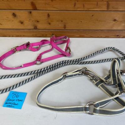 Amigo and BMB Pony Halters and Leads