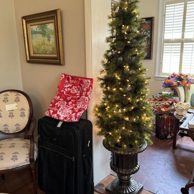$75-lit topiary (2 available)