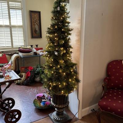 $75-lit topiary  (2 available)