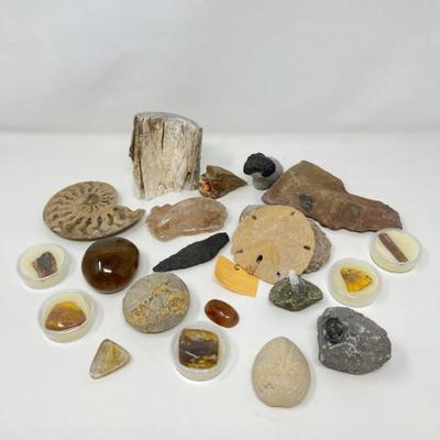 NSANE COLLECTION OF FOSSILS, AMBER, & MORE