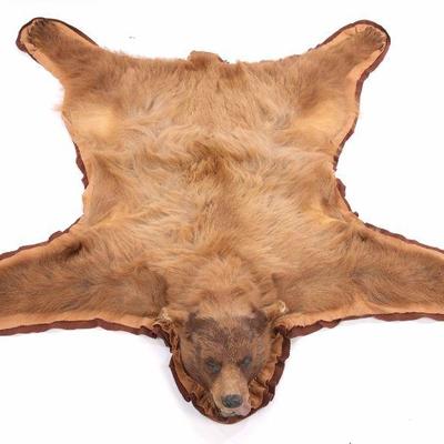 Bear Skin rug