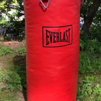 Everlast heavyweight Sparring Bag - Like New