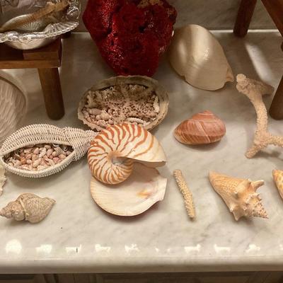 Sea shells
