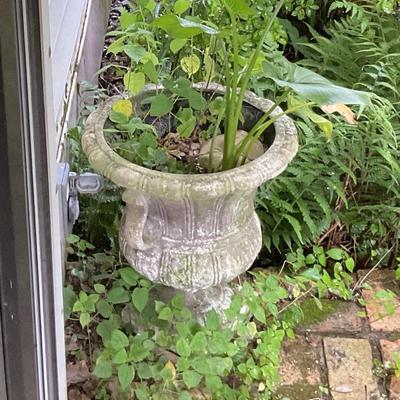 Concrete urn planter