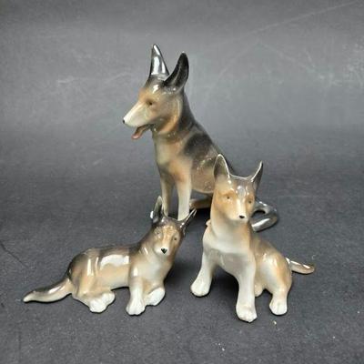 german shepards