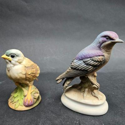 birds