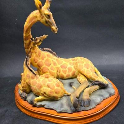 giraffes 