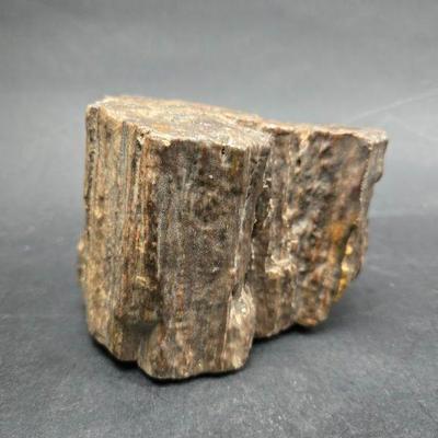 petrified wood 