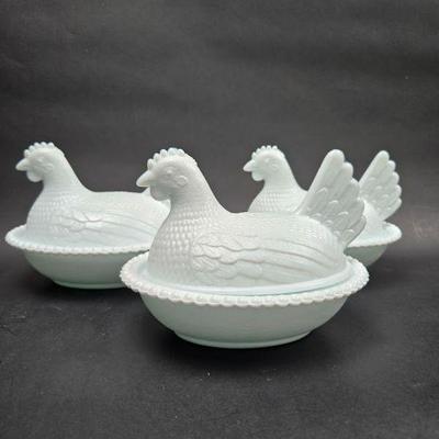 Hen's on nest