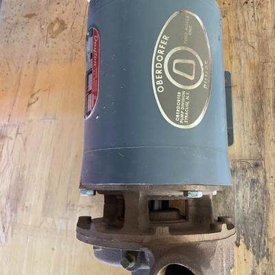 Dayton water pump