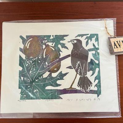 NVN061- Limited Edition By Avi Kiriaty Titled Mynah