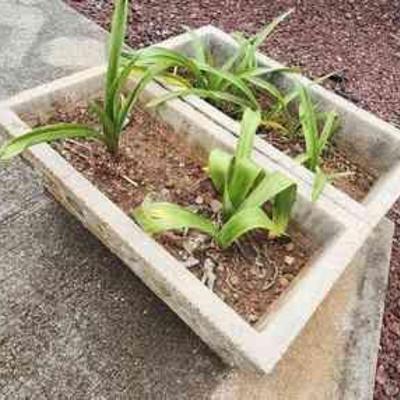NVN032 - Concrete Planters (2)