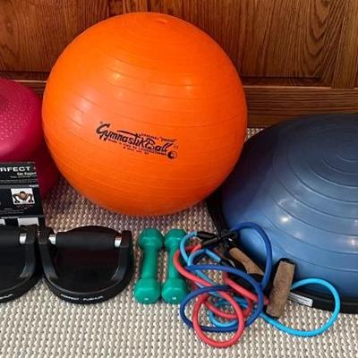 Exercise Lot - 3 And 5 Pound Dumbbells, Perfect Pushup, Gymnastik Ball, And Bosu Balance Ball