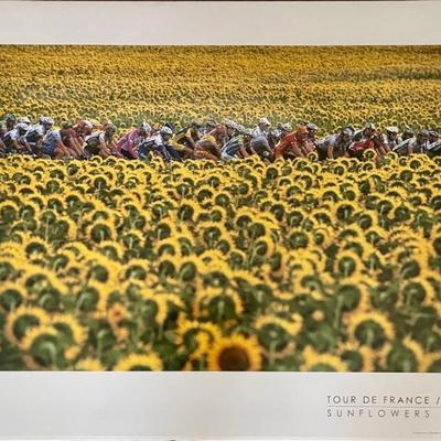 2000 Tour De France Sunflowers Poster In Original Plastic