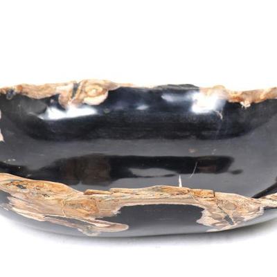 Large Petrified Wood Dish, Millions of Years Old