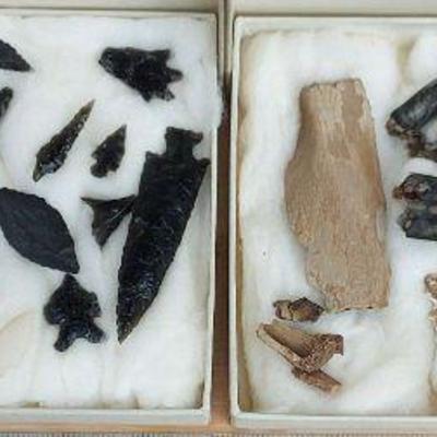 Authentic Arrowhead Collection Plowed From Family Farm * Possibly from Modoc Tribe
