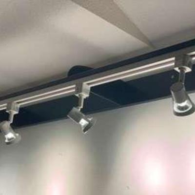 Lithonia Lighting 5 Light Halogen Track Set Up * Custom Made * Great for Art or Displays
