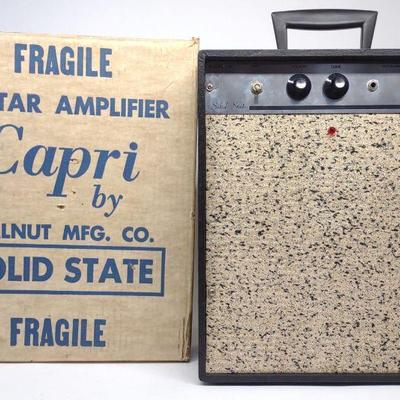 Vintage 1960s Capri Guitar Amplifier & Box (Works)