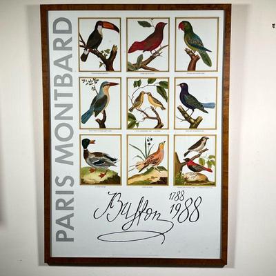 PARIS MONTBARD POSTER 1788-1988 | Framed bird print/poster showing nine different birds by Buffon. - l. 34-1/2 x w. 25 in

