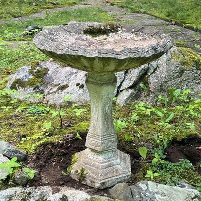 SEASHELL CONCRETE BIRD BATH | Seashell form concrete garden bird bath with hourglass hexagonal base. - h. 26.4 x dia. 22 in

