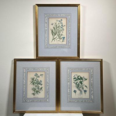 (3PC) FLORAL LITHOGRAPHS | Botanical prints in matching frames, including Jacob’s Ladder, Lobelias, and Venus’ Navelwort; 8 x 5.5 in....