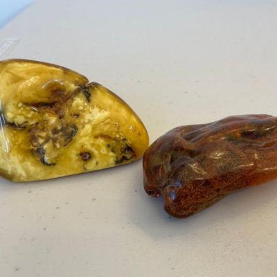 Real Amber with Inclusions