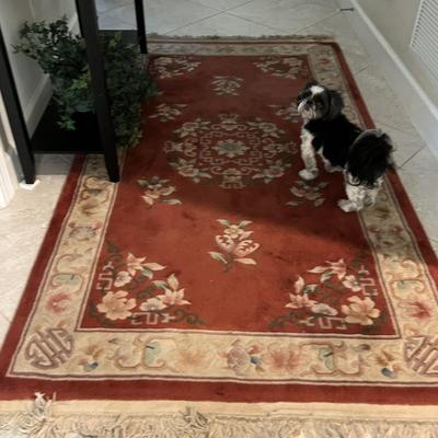 Vintage Chinese rug Hand Knotted dog not included