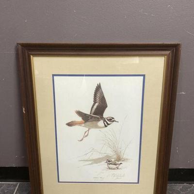 Lot 496 | Signed Guy Coheleach Print
