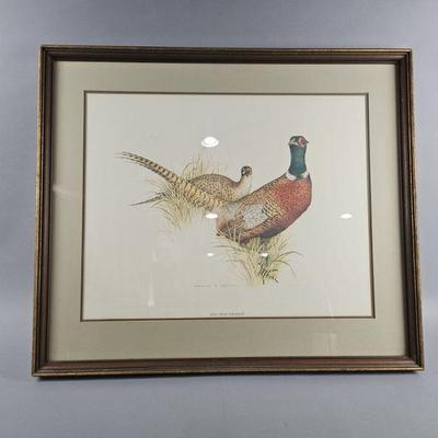 Lot 479 | Vtg Charles E. Murphy Ring Neck Pheasant Print

