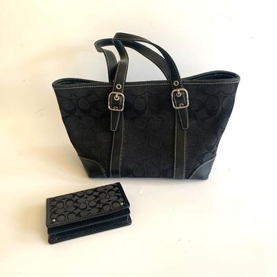 Coach bag and purse