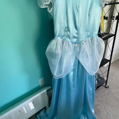 Cinderella costume 