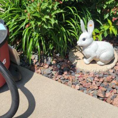 Shop Vac and Bunny 