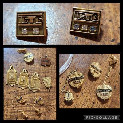 Years of service gold pins, local school pins