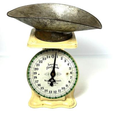 Vintage American Family Scale