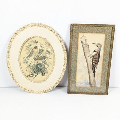 Vintage Framed Bird Art