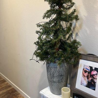 Plant, vase, candle