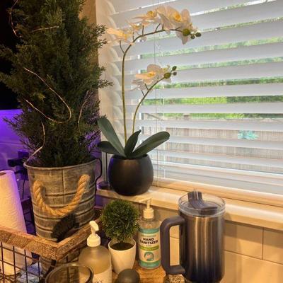 Indoor plants