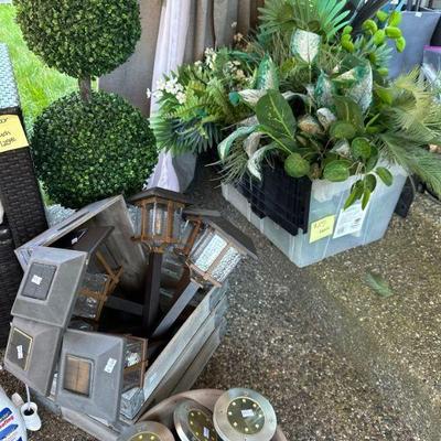 Decorative plants