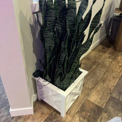 fake plant