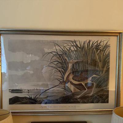 $225 Vintage J. J. Audubon Print of Long Billed Curlew and the City of Charleston. Custom Framed 27” x 40”. 