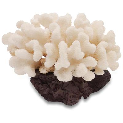 White Coral Cluster on Lava Rock Base