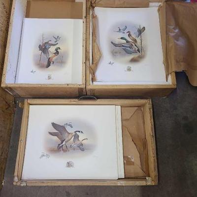 #1034 • Approx (600) Ronald Louque Duck Stamp Prints
