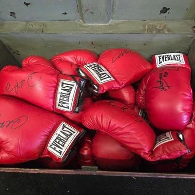 #10780 • (25) Autographed Everlast Boxing Gloves
