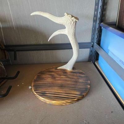 #12056 • Mounted Antler
